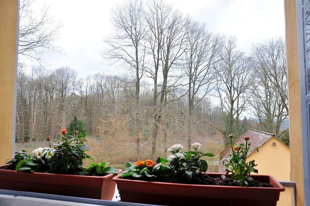 Au Jardin De Lisa Bed & Breakfast Cherreau Exterior photo